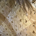 Caroline Fabric in color Wheat is an Embroidered Floral Silk Fabric that is good for Drapery & Curtain Fabric