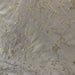 Cornelia Fabric in color Bamboo is a Floral Embroidered Silk Fabric that is good for Drapery & Curtain Fabric