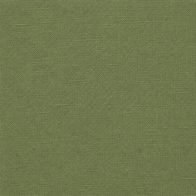 Linati Fabric in color Basil is a Solid Linen Look Fabric that is good for Drapery & Curtain Fabric and Upholstery Fabric and Table Linen Fabric