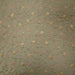 Parisian Fabric in color Coral is a Floral Embroidered Silk Fabric pattern good for Drapery & Curtain Fabric