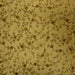 Parisian Fabric in color Wheat is a Floral Embroidered Silk Fabric pattern good for Drapery & Curtain Fabric