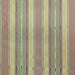 Radicci Fabric in color Coral is a Metallic Multi-Colored Stripe Silk Fabric pattern good for Drapery & Curtain Fabric