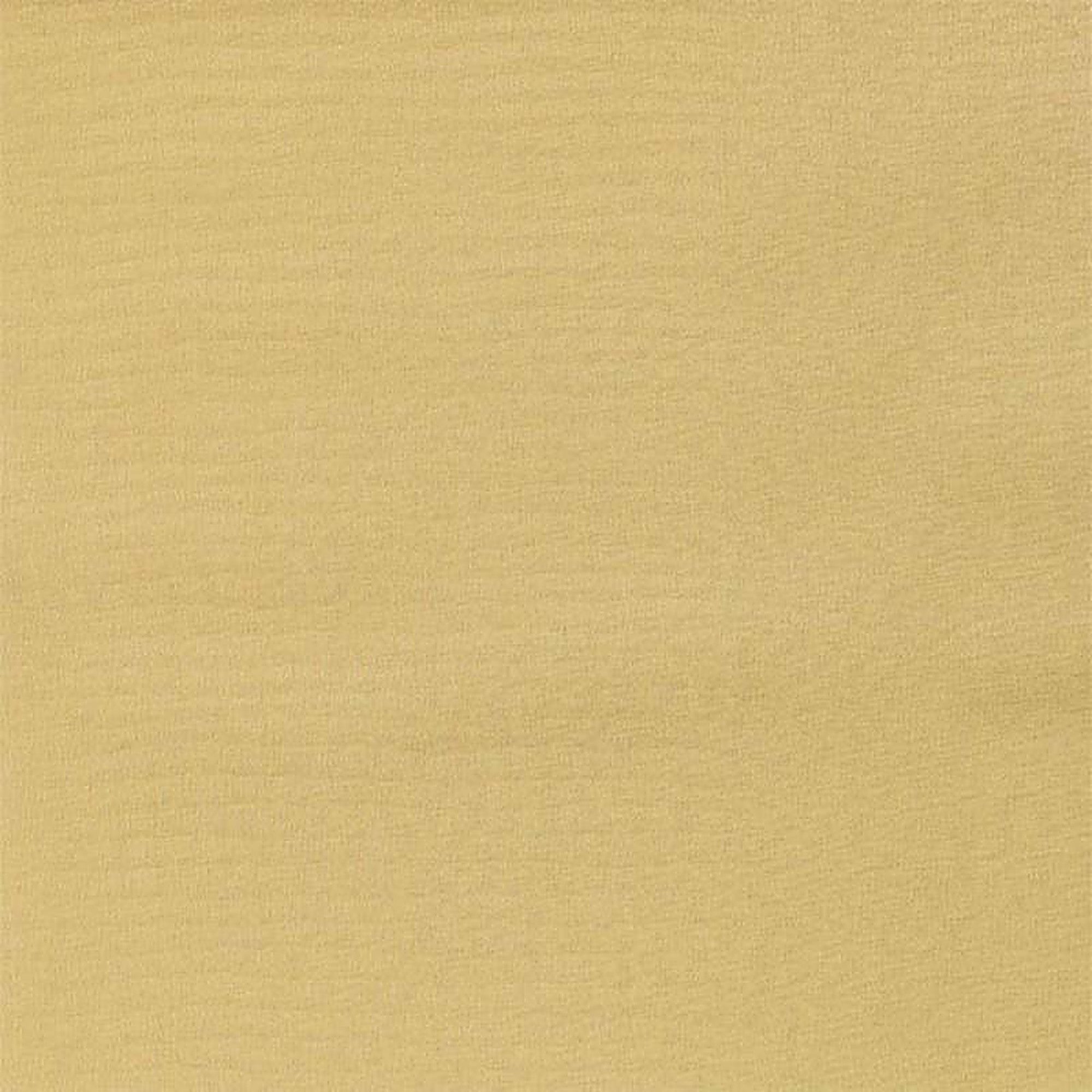 Avenue Fabric in color Biscuit is a Solid Wave Design Fabric pattern good for Drapery & Curtain Fabric and Upholstery Fabric