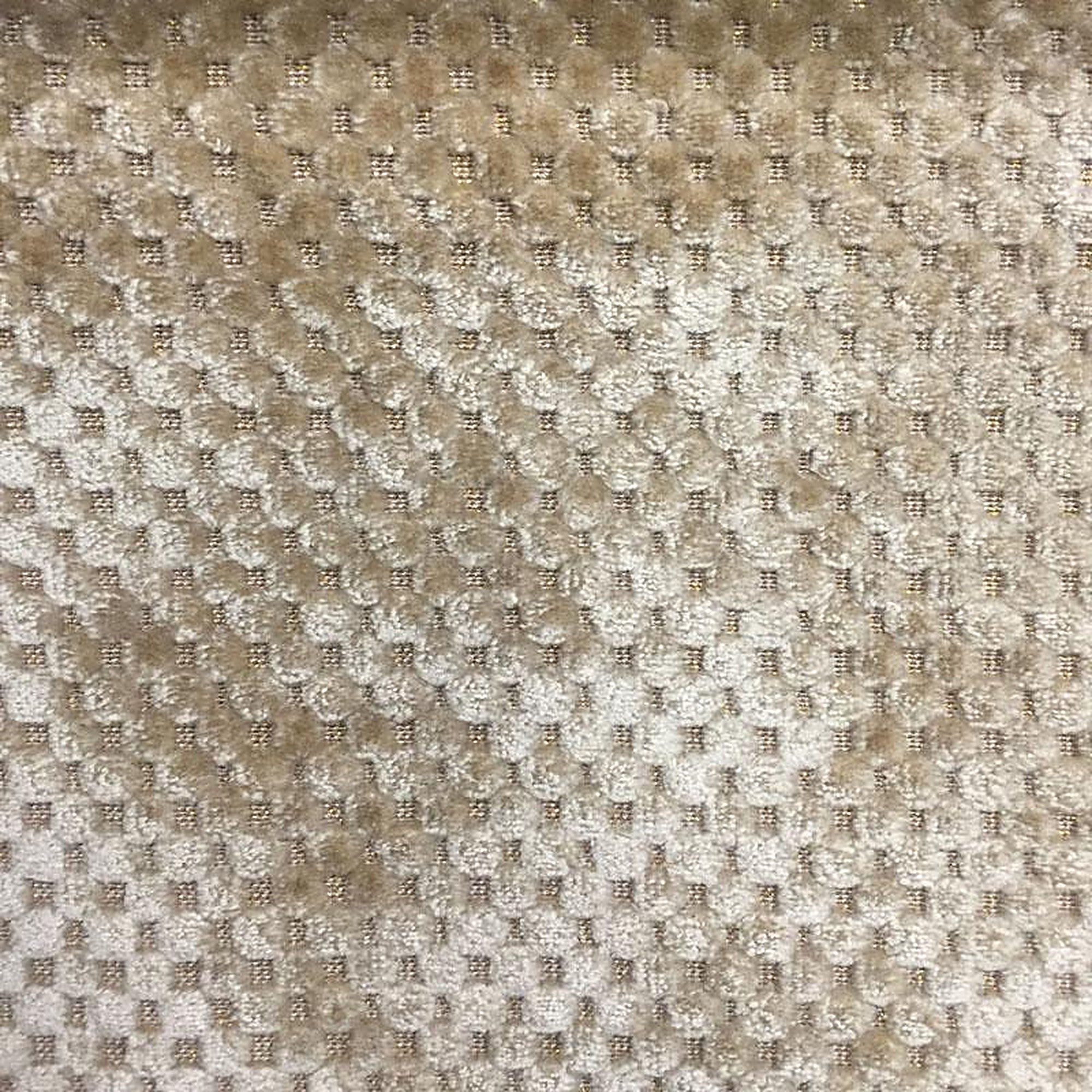 Cavalli Fabric in color Beige is a Dotted Metallic Velvet Fabric pattern good for Drapery & Curtain Fabric and Upholstery Fabric