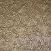 Dorsey Fabric in color Champagne is a Abstract Floral Embroidered Fabric pattern good for Drapery & Curtain Fabric