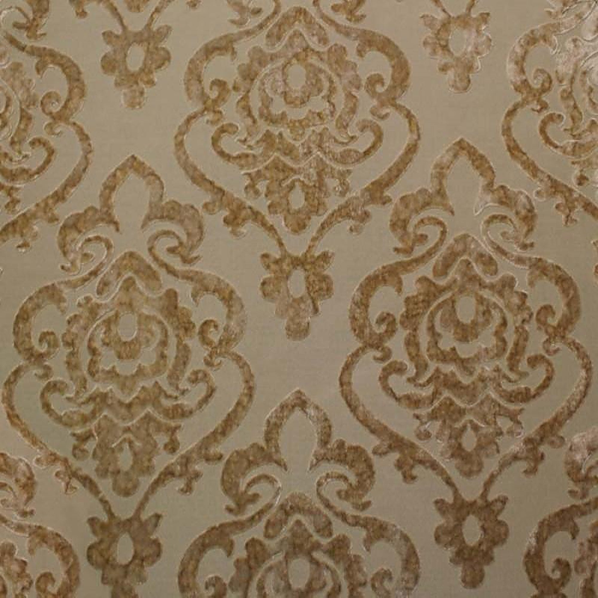 Evans Fabric in color Beige is a Damask Velvet Fabric pattern good for Drapery & Curtain Fabric and Upholstery Fabric
