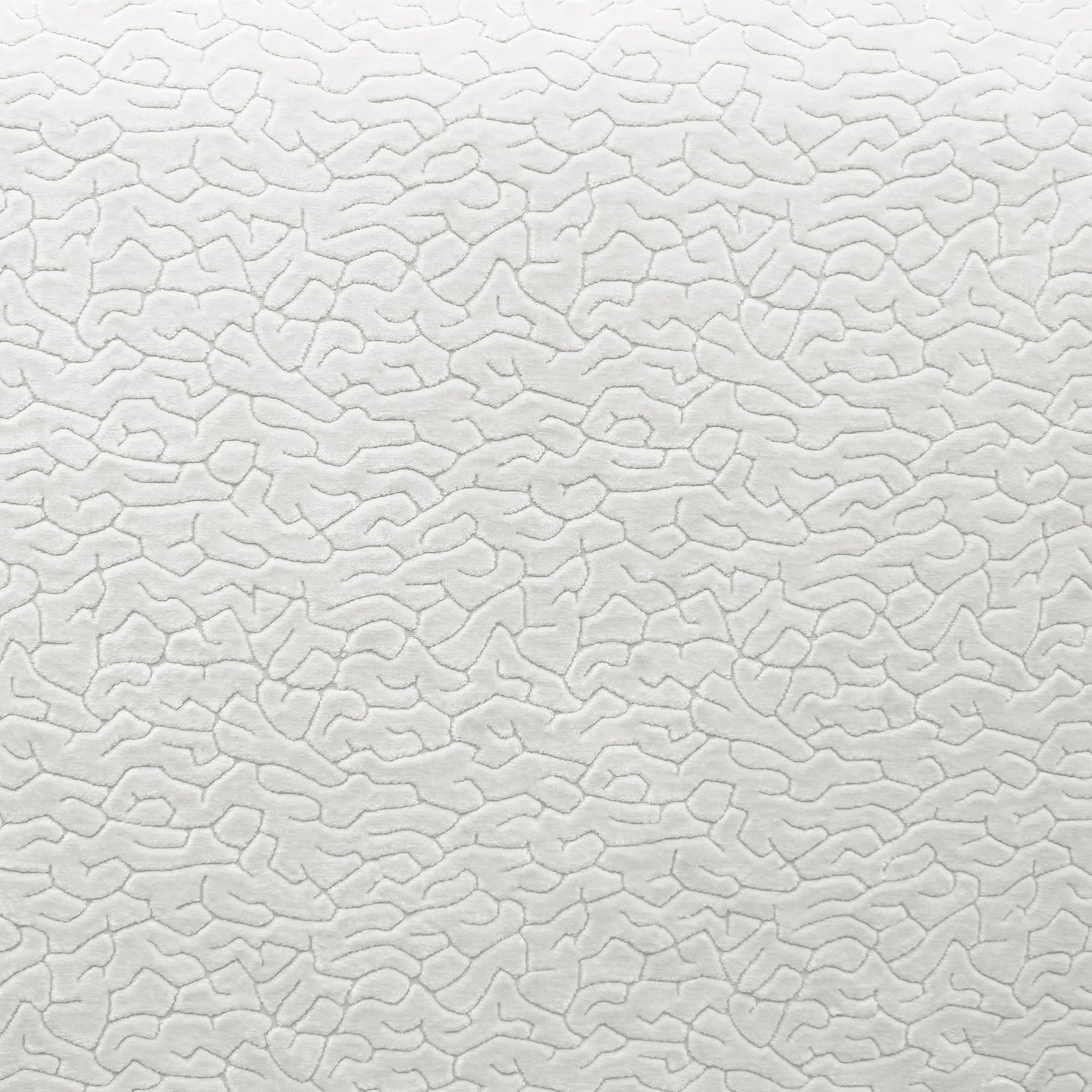 Galil Fabric | Textured Solid Velvet
