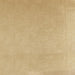 Galo Fabric in color Champagne is a Solid Velvet Fabric pattern good for Drapery & Curtain Fabric and Upholstery Fabric