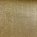 Maison Fabric in color Brass is a Classic Solid Basketweave Fabric pattern good for Upholstery Fabric