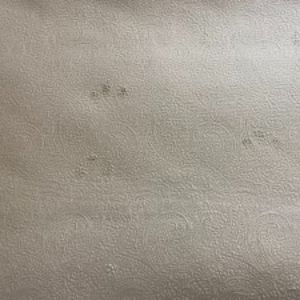 Pacey Fabric in color Sand is a Paisley Embossed Velvet Fabric pattern good for Upholstery Fabric